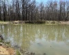 TBD McNair Road, Albright, West Virginia 26519, ,Lots/land,For Sale,McNair,10159374