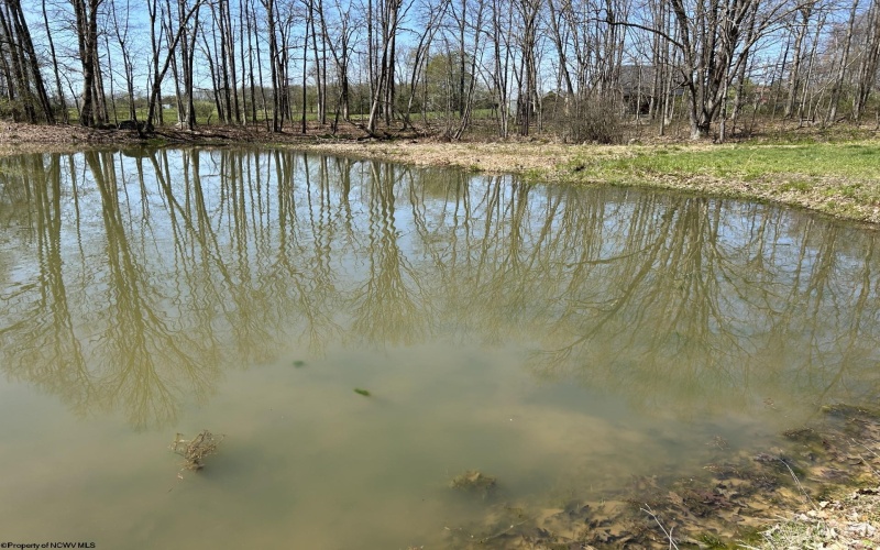 TBD McNair Road, Albright, West Virginia 26519, ,Lots/land,For Sale,McNair,10159374