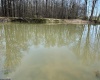 TBD McNair Road, Albright, West Virginia 26519, ,Lots/land,For Sale,McNair,10159374
