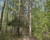 TBD McNair Road, Albright, West Virginia 26519, ,Lots/land,For Sale,McNair,10159374