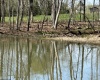 TBD McNair Road, Albright, West Virginia 26519, ,Lots/land,For Sale,McNair,10159374