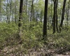 TBD McNair Road, Albright, West Virginia 26519, ,Lots/land,For Sale,McNair,10159374