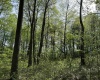 TBD McNair Road, Albright, West Virginia 26519, ,Lots/land,For Sale,McNair,10159374