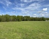 TBD McNair Road, Albright, West Virginia 26519, ,Lots/land,For Sale,McNair,10159374