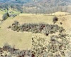 TBD Morgan Ridge Road, Fairmont, West Virginia 26554, ,Lots/land,For Sale,Morgan Ridge,10159379