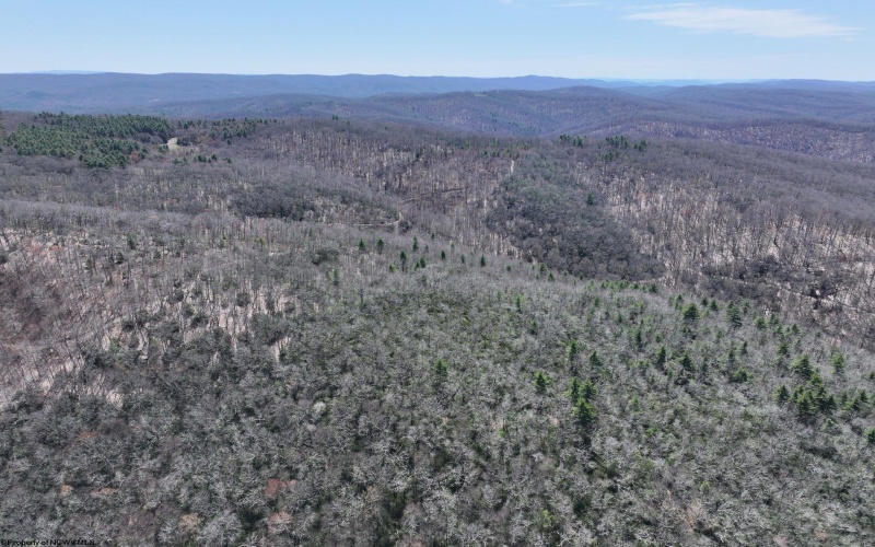 0 Chicken House Run Road, Marlinton, West Virginia 24954, ,Lots/land,For Sale,Chicken House Run,10159381