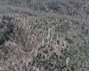 0 Chicken House Run Road, Marlinton, West Virginia 24954, ,Lots/land,For Sale,Chicken House Run,10159381