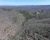 0 Chicken House Run Road, Marlinton, West Virginia 24954, ,Lots/land,For Sale,Chicken House Run,10159381