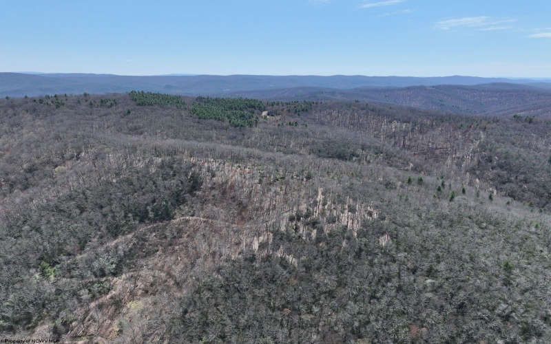 0 Chicken House Run Road, Marlinton, West Virginia 24954, ,Lots/land,For Sale,Chicken House Run,10159381