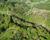 TBD Brushy Fork Road, Wadestown, West Virginia 26575, ,Lots/land,For Sale,Brushy Fork,10159400