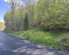 TBD Brushy Fork Road, Wadestown, West Virginia 26575, ,Lots/land,For Sale,Brushy Fork,10159400