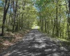 TBD Brushy Fork Road, Wadestown, West Virginia 26575, ,Lots/land,For Sale,Brushy Fork,10159400