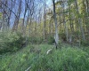 TBD Brushy Fork Road, Wadestown, West Virginia 26575, ,Lots/land,For Sale,Brushy Fork,10159400