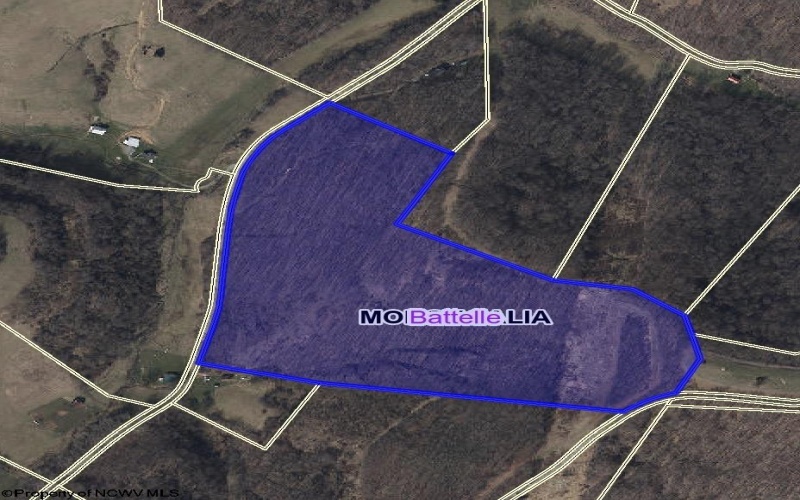 TBD Brushy Fork Road, Wadestown, West Virginia 26575, ,Lots/land,For Sale,Brushy Fork,10159400
