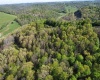 TBD Brushy Fork Road, Wadestown, West Virginia 26575, ,Lots/land,For Sale,Brushy Fork,10159400