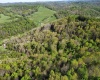 TBD Brushy Fork Road, Wadestown, West Virginia 26575, ,Lots/land,For Sale,Brushy Fork,10159400