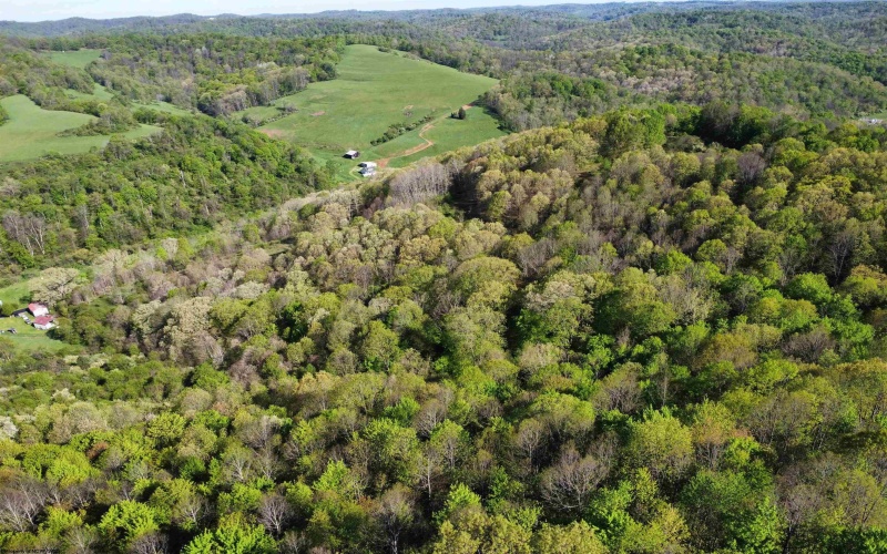 TBD Brushy Fork Road, Wadestown, West Virginia 26575, ,Lots/land,For Sale,Brushy Fork,10159400
