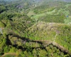 TBD Brushy Fork Road, Wadestown, West Virginia 26575, ,Lots/land,For Sale,Brushy Fork,10159400