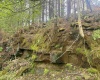 1062 Nestorville Road, Philippi, West Virginia 26416, ,Lots/land,For Sale,Nestorville,10159429