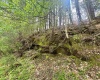 1062 Nestorville Road, Philippi, West Virginia 26416, ,Lots/land,For Sale,Nestorville,10159429