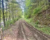 1062 Nestorville Road, Philippi, West Virginia 26416, ,Lots/land,For Sale,Nestorville,10159429