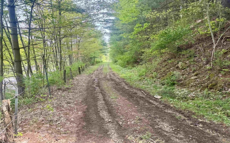 1062 Nestorville Road, Philippi, West Virginia 26416, ,Lots/land,For Sale,Nestorville,10159429