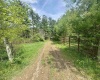 1062 Nestorville Road, Philippi, West Virginia 26416, ,Lots/land,For Sale,Nestorville,10159429