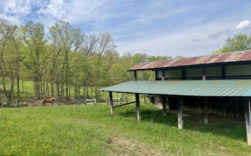 1062 Nestorville Road, Philippi, West Virginia 26416, ,Lots/land,For Sale,Nestorville,10159429