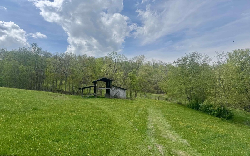 1062 Nestorville Road, Philippi, West Virginia 26416, ,Lots/land,For Sale,Nestorville,10159429