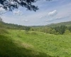 1062 Nestorville Road, Philippi, West Virginia 26416, ,Lots/land,For Sale,Nestorville,10159429