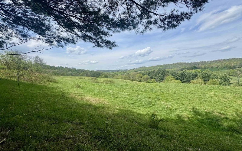 1062 Nestorville Road, Philippi, West Virginia 26416, ,Lots/land,For Sale,Nestorville,10159429
