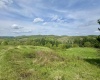 1062 Nestorville Road, Philippi, West Virginia 26416, ,Lots/land,For Sale,Nestorville,10159429