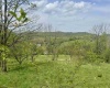 1062 Nestorville Road, Philippi, West Virginia 26416, ,Lots/land,For Sale,Nestorville,10159429