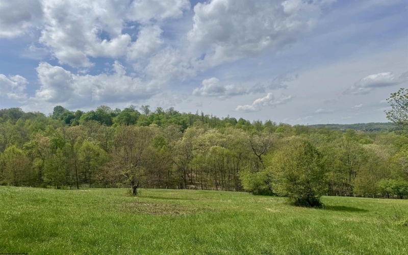 1062 Nestorville Road, Philippi, West Virginia 26416, ,Lots/land,For Sale,Nestorville,10159429