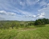 1062 Nestorville Road, Philippi, West Virginia 26416, ,Lots/land,For Sale,Nestorville,10159429