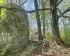 1062 Nestorville Road, Philippi, West Virginia 26416, ,Lots/land,For Sale,Nestorville,10159429