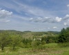 1062 Nestorville Road, Philippi, West Virginia 26416, ,Lots/land,For Sale,Nestorville,10159429