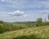 1062 Nestorville Road, Philippi, West Virginia 26416, ,Lots/land,For Sale,Nestorville,10159429