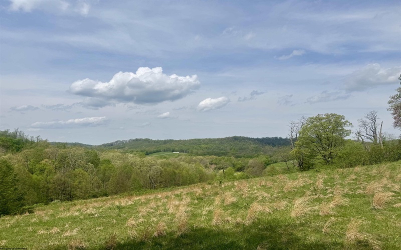 1062 Nestorville Road, Philippi, West Virginia 26416, ,Lots/land,For Sale,Nestorville,10159429