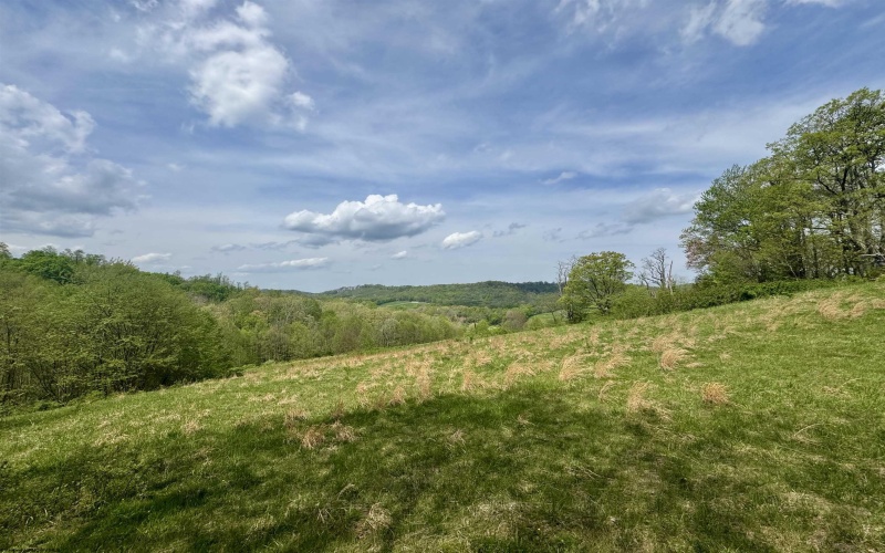 1062 Nestorville Road, Philippi, West Virginia 26416, ,Lots/land,For Sale,Nestorville,10159429