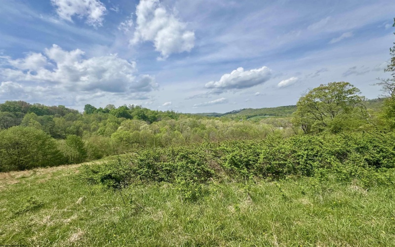 1062 Nestorville Road, Philippi, West Virginia 26416, ,Lots/land,For Sale,Nestorville,10159429