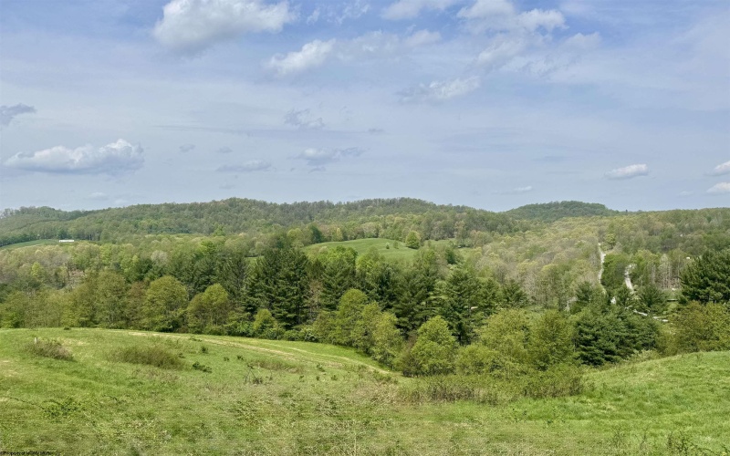 1062 Nestorville Road, Philippi, West Virginia 26416, ,Lots/land,For Sale,Nestorville,10159429