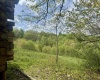 1062 Nestorville Road, Philippi, West Virginia 26416, ,Lots/land,For Sale,Nestorville,10159429