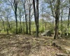 1062 Nestorville Road, Philippi, West Virginia 26416, ,Lots/land,For Sale,Nestorville,10159429