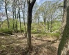 1062 Nestorville Road, Philippi, West Virginia 26416, ,Lots/land,For Sale,Nestorville,10159429