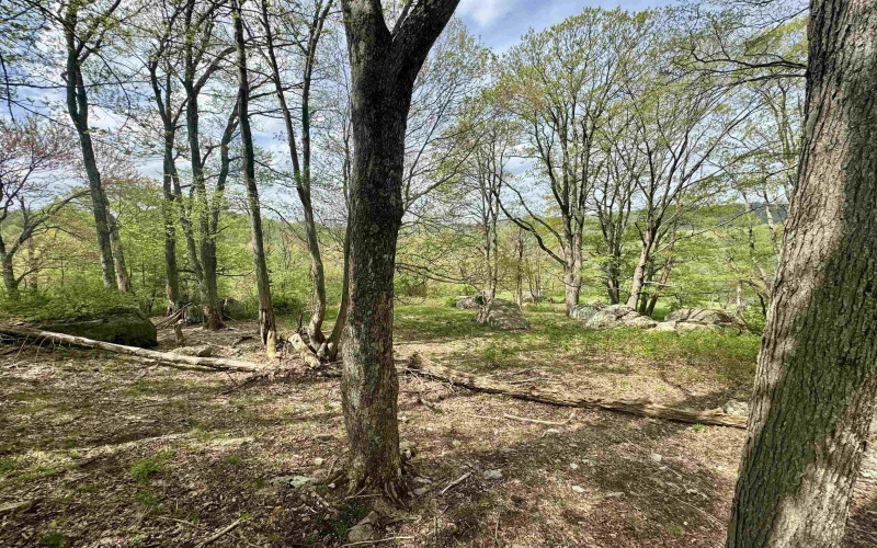 1062 Nestorville Road, Philippi, West Virginia 26416, ,Lots/land,For Sale,Nestorville,10159429
