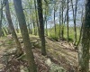 1062 Nestorville Road, Philippi, West Virginia 26416, ,Lots/land,For Sale,Nestorville,10159429