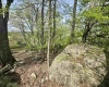 1062 Nestorville Road, Philippi, West Virginia 26416, ,Lots/land,For Sale,Nestorville,10159429