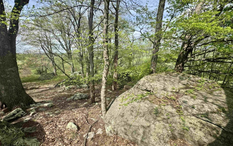 1062 Nestorville Road, Philippi, West Virginia 26416, ,Lots/land,For Sale,Nestorville,10159429