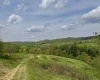 1062 Nestorville Road, Philippi, West Virginia 26416, ,Lots/land,For Sale,Nestorville,10159429
